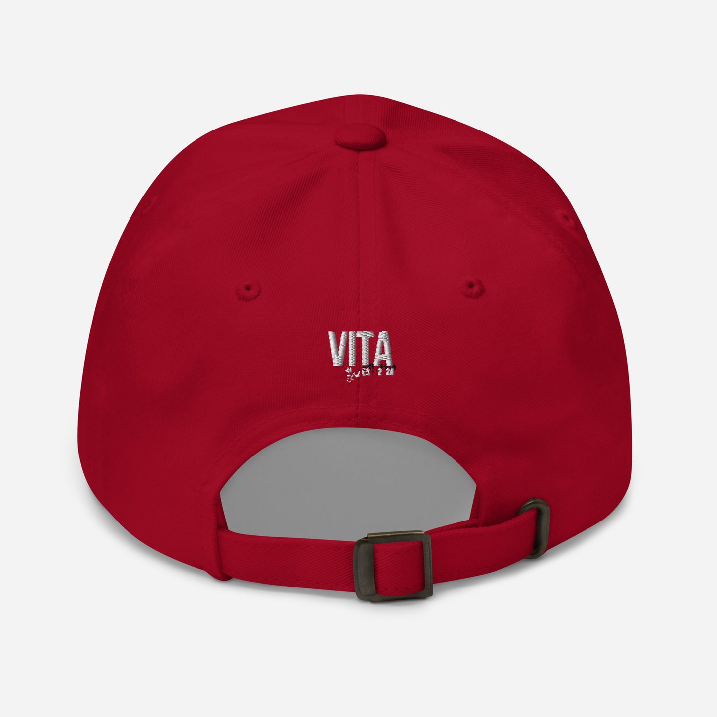 LIFE THROUGH CULTURE HAT